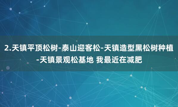 2.天镇平顶松树-泰山迎客松-天镇造型黑松树种植-天镇景观松基地 我最近在减肥