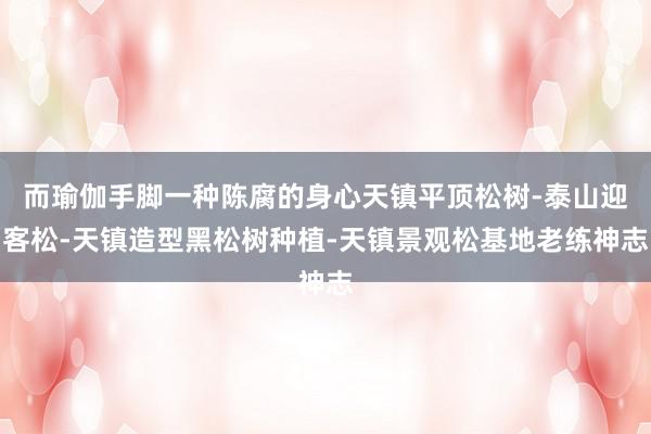 而瑜伽手脚一种陈腐的身心天镇平顶松树-泰山迎客松-天镇造型黑松树种植-天镇景观松基地老练神志